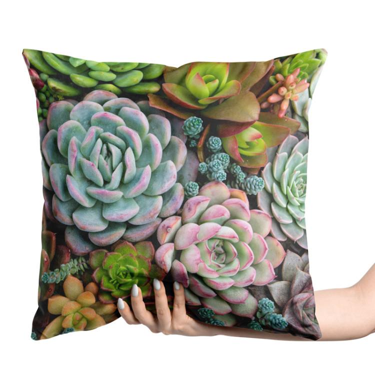 Decorative Velor Pillow A world of the succulents - a floral composition with rich detailing 148482 additionalImage 2