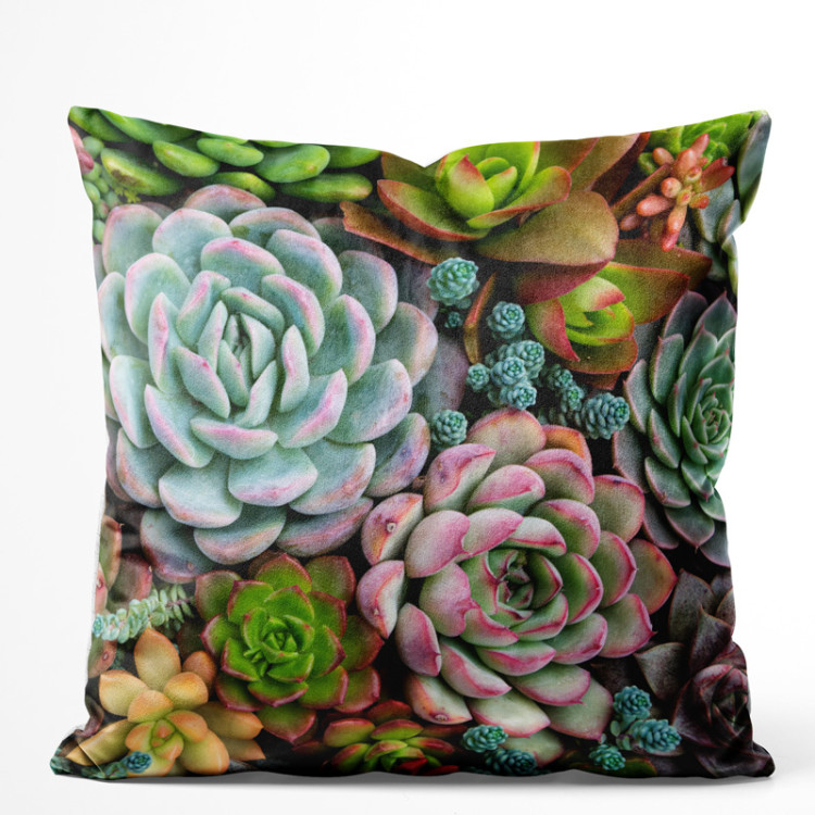 Decorative Velor Pillow A world of the succulents - a floral composition with rich detailing 148482