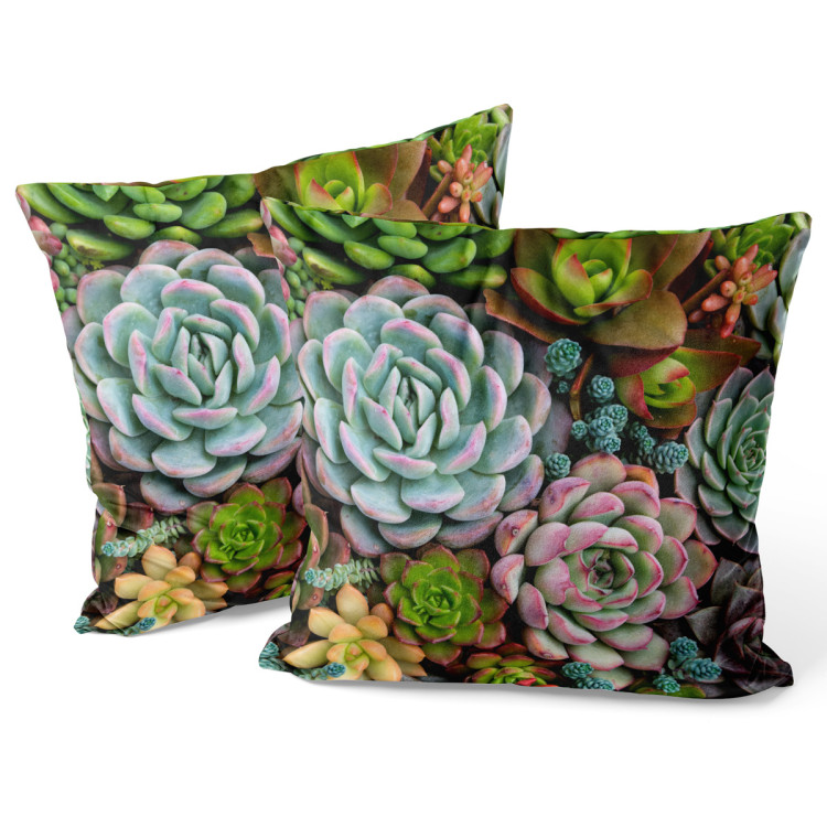 Decorative Velor Pillow A world of the succulents - a floral composition with rich detailing 148482 additionalImage 3