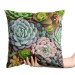 Decorative Velor Pillow A world of the succulents - a floral composition with rich detailing 148482 additionalThumb 2