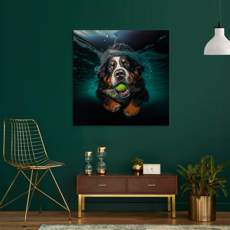 Canvas Art Print AI Bernese Mountain Dog - Floating Animal With a Ball in Its Mouth - Square 150182 additionalImage 3