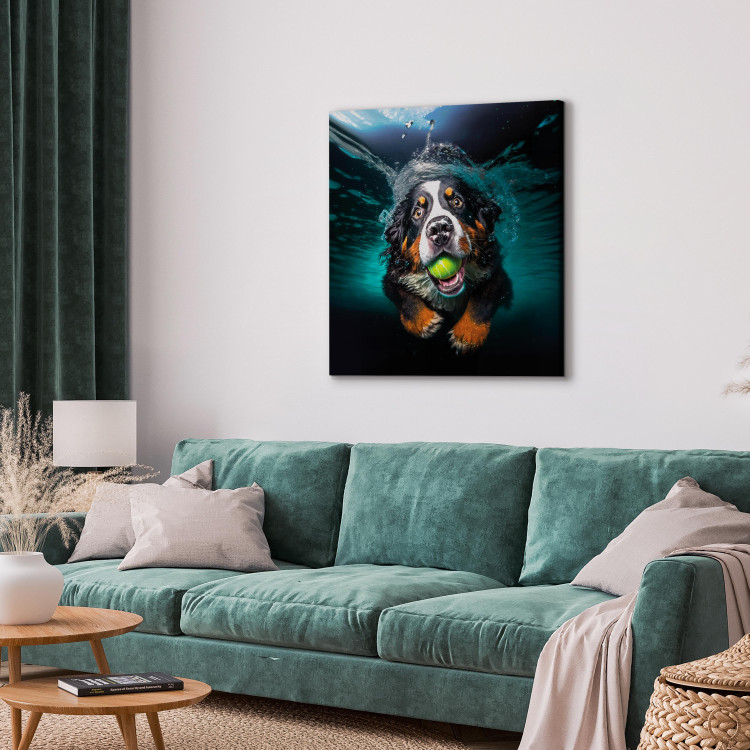Canvas Art Print AI Bernese Mountain Dog - Floating Animal With a Ball in Its Mouth - Square 150182 additionalImage 10