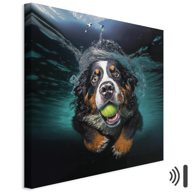 Canvas Art Print AI Bernese Mountain Dog - Floating Animal With a Ball in Its Mouth - Square 150182 additionalImage 8