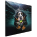 Canvas Art Print AI Bernese Mountain Dog - Floating Animal With a Ball in Its Mouth - Square 150182 additionalThumb 2