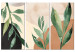 Canvas Print Green Leaves - Plants on an Abstract Background in Pastel Browns 151782