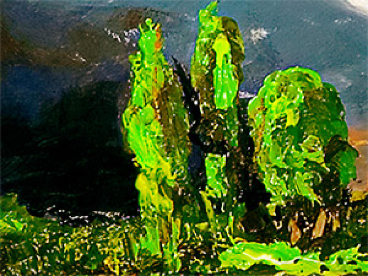 Canvas Art Print Mountain Landscape (3-piece) - Landscape of nature in vibrant colours 47582 additionalImage 3
