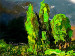 Canvas Art Print Mountain Landscape (3-piece) - Landscape of nature in vibrant colours 47582 additionalThumb 3