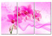 Canvas Print Ethereal orchid - pink 58482