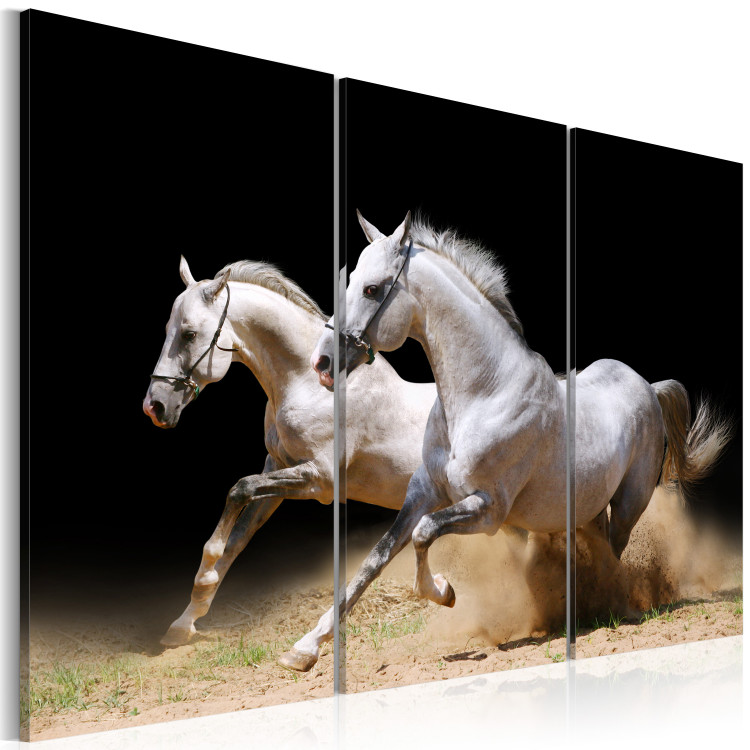 Canvas Print Horses- power and velocity 58682 additionalImage 2