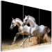 Canvas Print Horses- power and velocity 58682 additionalThumb 2