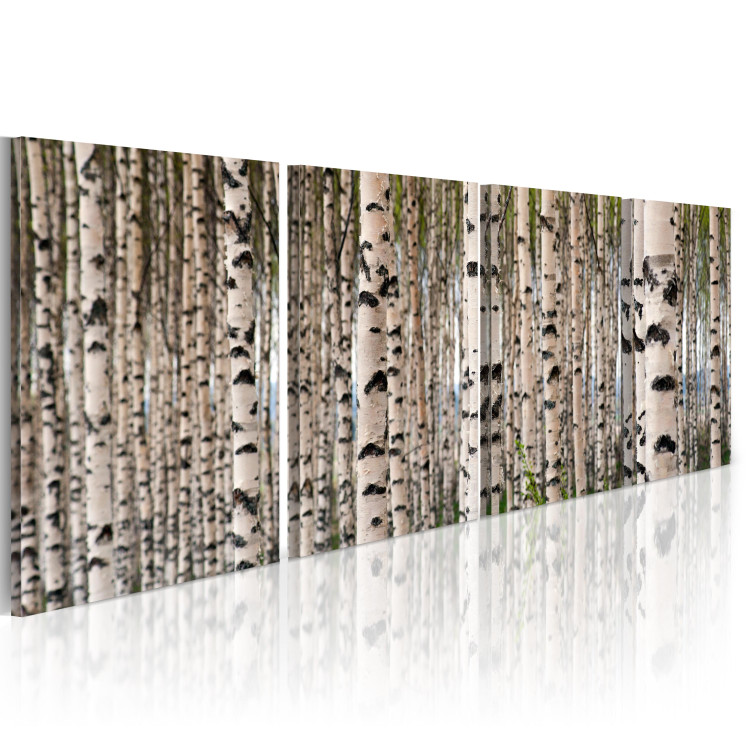 Canvas Print Birch forest 58782 additionalImage 2