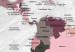Canvas Art Print World Map: Pink Continents 91882 additionalThumb 4