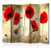 Folding Screen Golden Poppy Field II - romantic red flowers on a golden background 95282
