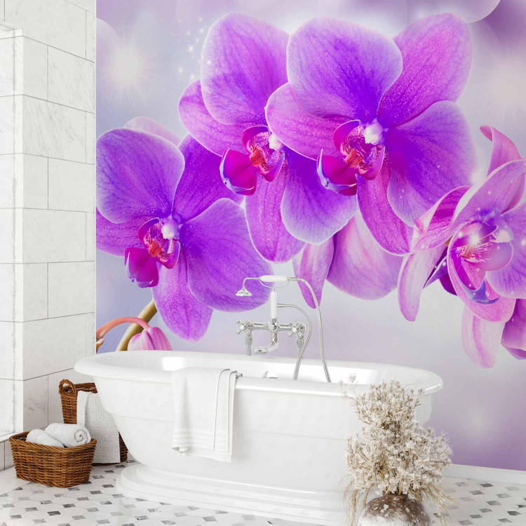 Wall Mural Purple orchids - floral motif on a background with light glow effect 106592 additionalImage 8