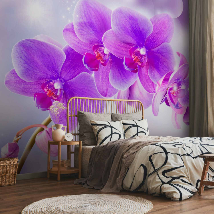 Wall Mural Purple orchids - floral motif on a background with light glow effect 106592 additionalImage 2