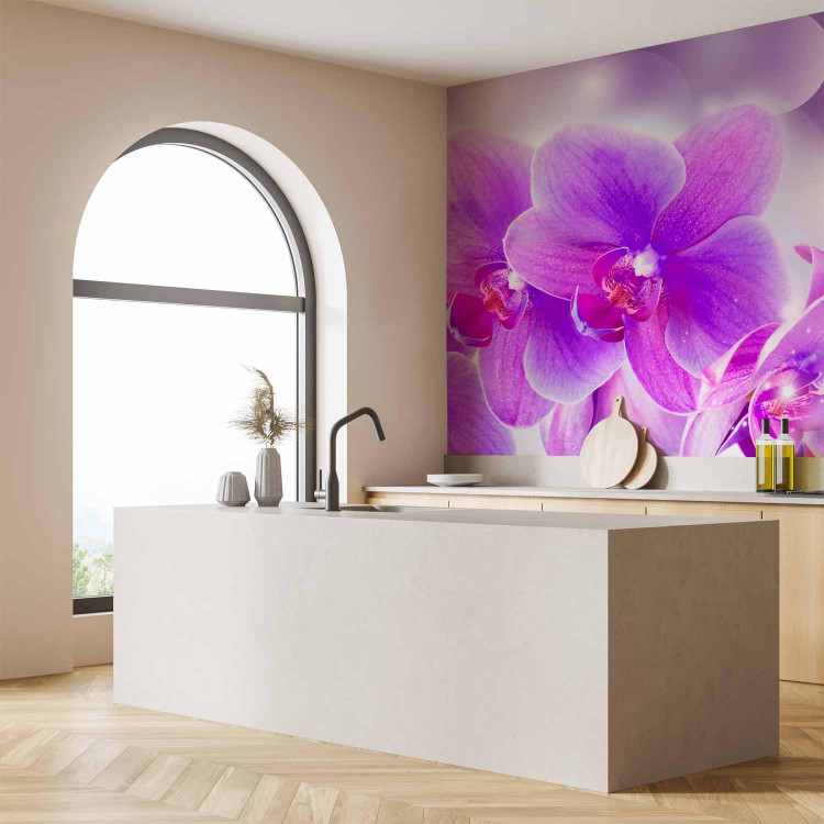 Wall Mural Purple orchids - floral motif on a background with light glow effect 106592 additionalImage 7
