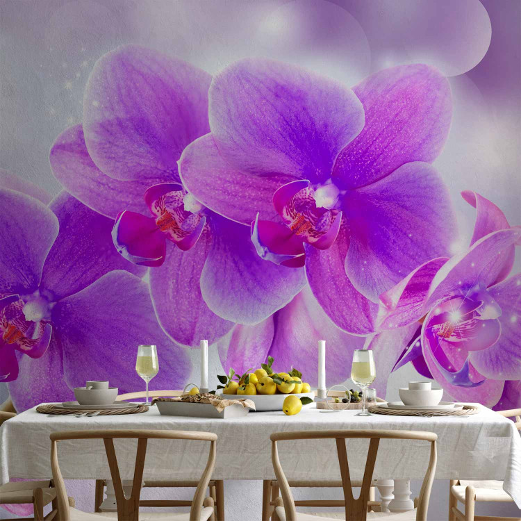 Wall Mural Purple orchids - floral motif on a background with light glow effect 106592 additionalImage 6