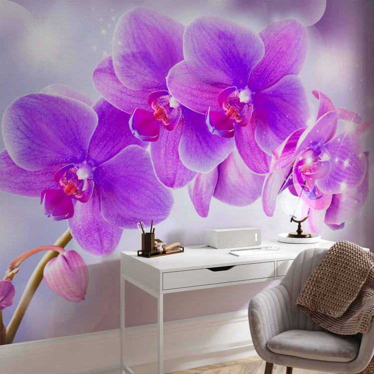 Wall Mural Purple orchids - floral motif on a background with light glow effect 106592 additionalImage 4
