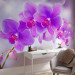 Wall Mural Purple orchids - floral motif on a background with light glow effect 106592 additionalThumb 4