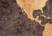 Canvas Print Chestnut World Map 106792 additionalThumb 5