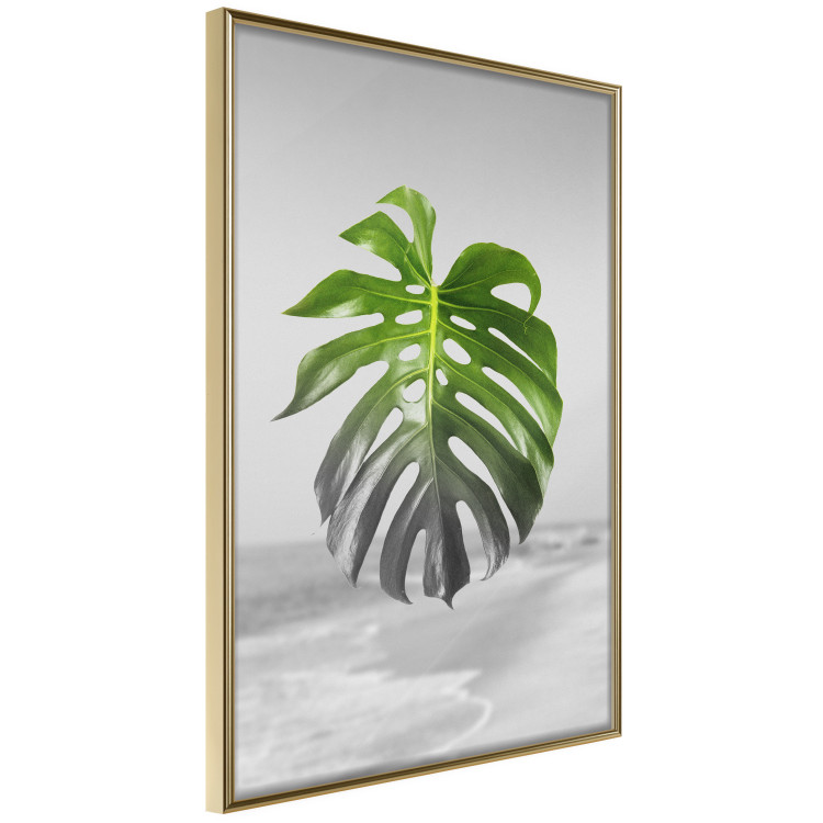 Poster Monstera Leaf - Green tropical plant and gray seaside landscape 114392 additionalImage 14