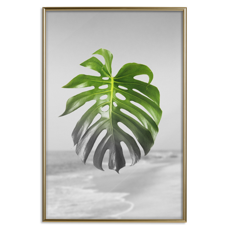 Poster Monstera Leaf - Green tropical plant and gray seaside landscape 114392 additionalImage 16