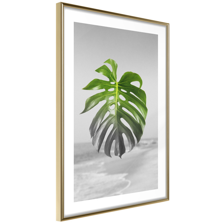Poster Monstera Leaf - Green tropical plant and gray seaside landscape 114392 additionalImage 6