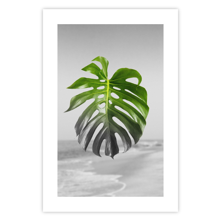 Poster Monstera Leaf - Green tropical plant and gray seaside landscape 114392 additionalImage 25
