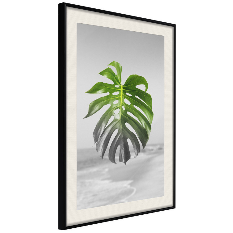 Poster Monstera Leaf - Green tropical plant and gray seaside landscape 114392 additionalImage 3