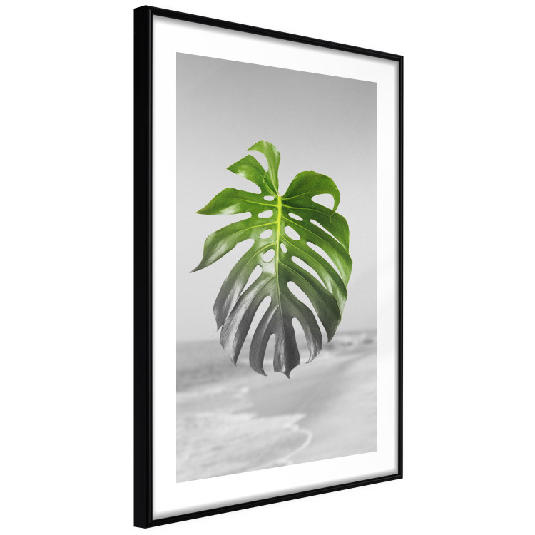 Poster Monstera Leaf - Green tropical plant and gray seaside landscape 114392 additionalImage 11