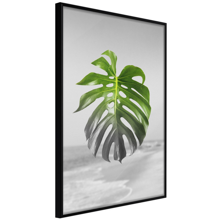 Poster Monstera Leaf - Green tropical plant and gray seaside landscape 114392 additionalImage 12