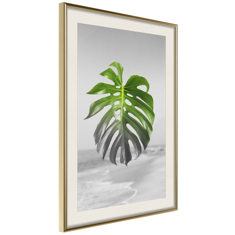 Poster Monstera Leaf - Green tropical plant and gray seaside landscape 114392 additionalImage 2
