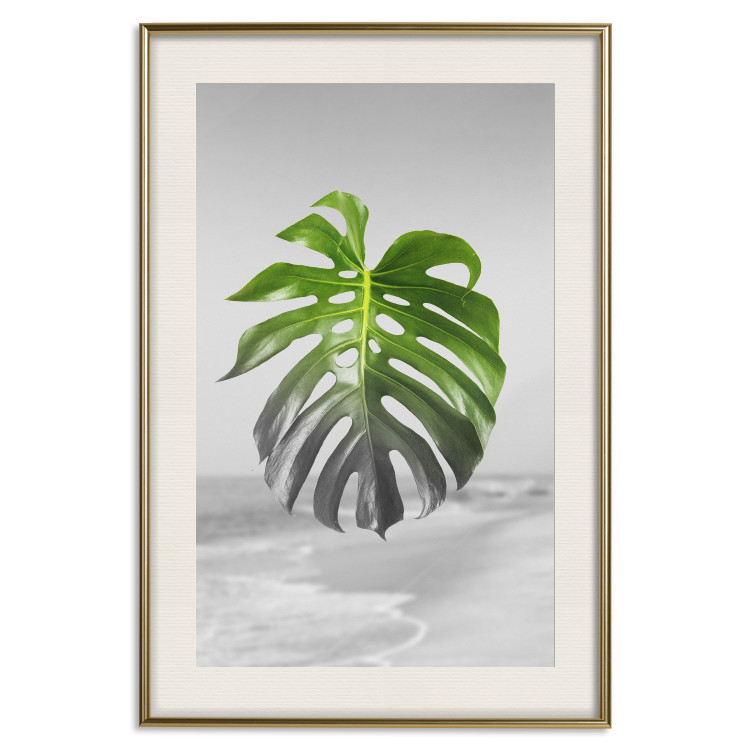 Poster Monstera Leaf - Green tropical plant and gray seaside landscape 114392 additionalImage 19