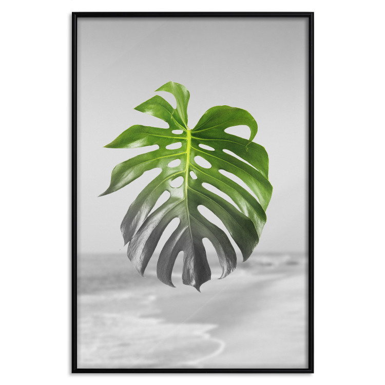 Poster Monstera Leaf - Green tropical plant and gray seaside landscape 114392 additionalImage 24