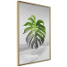 Poster Monstera Leaf - Green tropical plant and gray seaside landscape 114392 additionalThumb 14