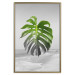 Poster Monstera Leaf - Green tropical plant and gray seaside landscape 114392 additionalThumb 16
