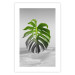 Poster Monstera Leaf - Green tropical plant and gray seaside landscape 114392 additionalThumb 25
