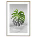Poster Monstera Leaf - Green tropical plant and gray seaside landscape 114392 additionalThumb 16