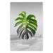 Poster Monstera Leaf - Green tropical plant and gray seaside landscape 114392