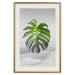 Poster Monstera Leaf - Green tropical plant and gray seaside landscape 114392 additionalThumb 19