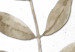 Canvas Single Twig (1 Part) Vertical 116392 additionalThumb 5