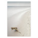 Wall Poster Seashore - sandy landscape in beige tones against beach and water 117292