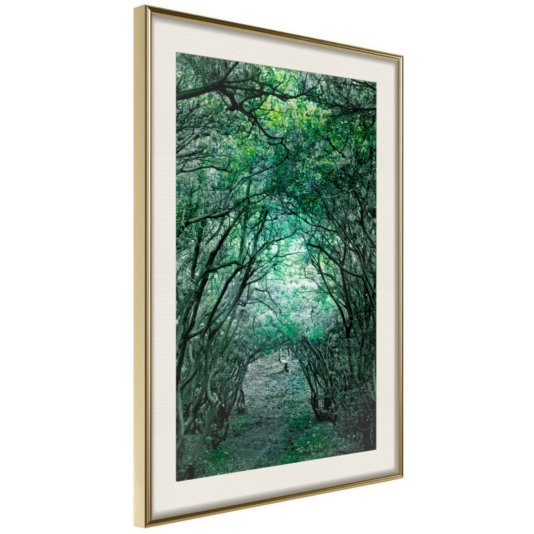 Poster Green Pergola - landscape with a passage among leaves and tree branches 117892 additionalImage 2
