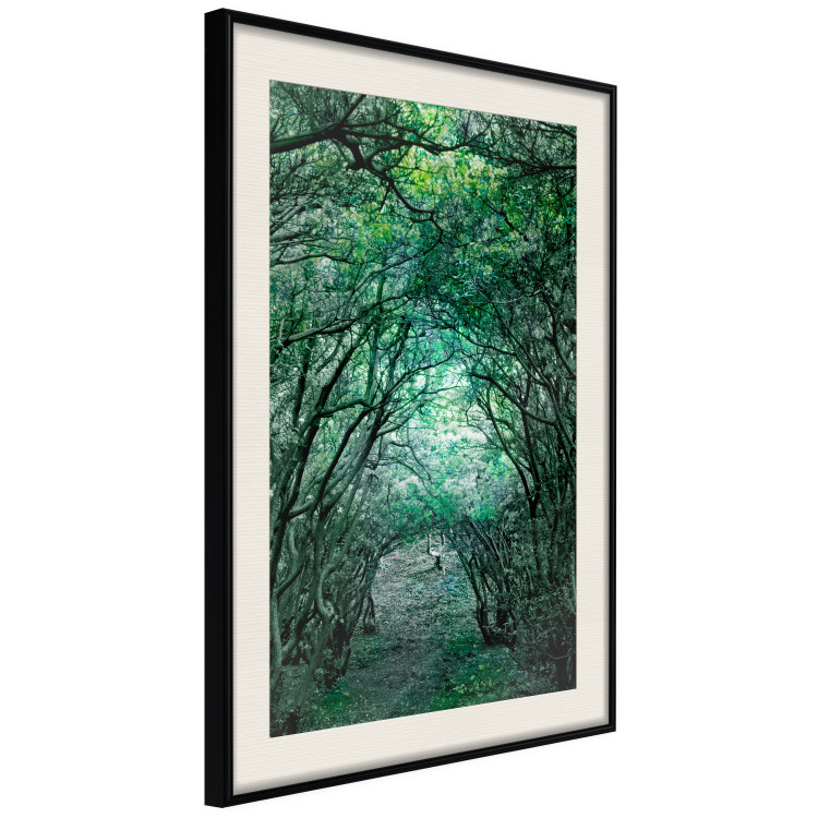 Poster Green Pergola - landscape with a passage among leaves and tree branches 117892 additionalImage 3