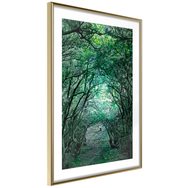 Poster Green Pergola - landscape with a passage among leaves and tree branches 117892 additionalImage 8