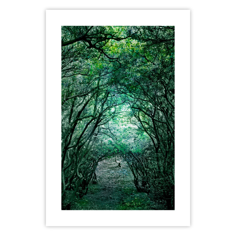Poster Green Pergola - landscape with a passage among leaves and tree branches 117892 additionalImage 25