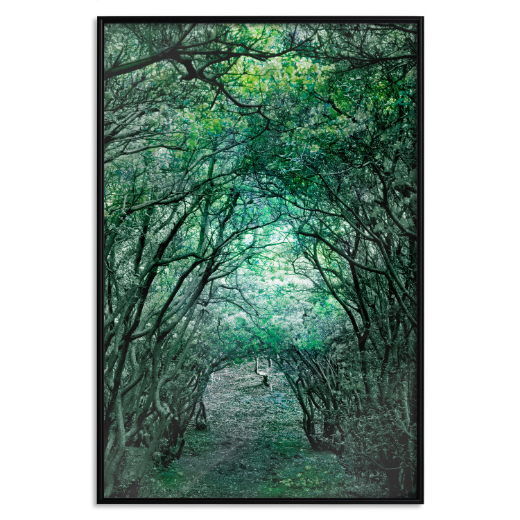 Poster Green Pergola - landscape with a passage among leaves and tree branches 117892 additionalImage 24