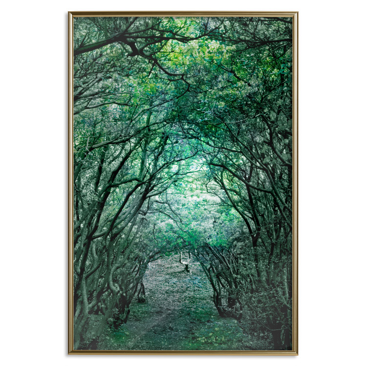 Poster Green Pergola - landscape with a passage among leaves and tree branches 117892 additionalImage 20