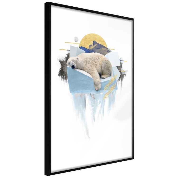 Poster Polar Bear - sleeping winter animal amidst ice on white background 123992 additionalImage 4