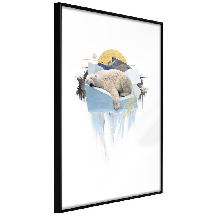 Poster Polar Bear - sleeping winter animal amidst ice on white background 123992 additionalImage 3
